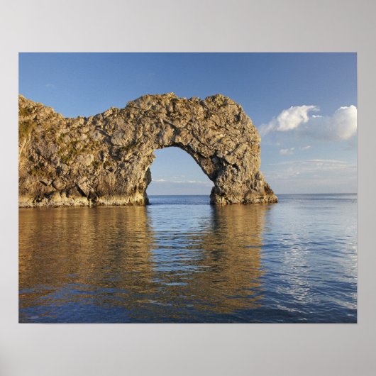 ジュラシックコーストワールド伝統2 ポスター (正面)