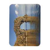 ジュラシックコーストワールド伝統2 マグネット (縦)