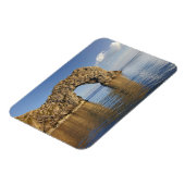 ジュラシックコーストワールド伝統2 マグネット (左側)