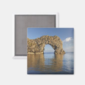 ジュラシックコーストワールド伝統2 マグネット (正面/裏面)