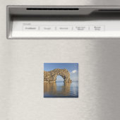 ジュラシックコーストワールド伝統2 マグネット (インサイチュ (食洗機))