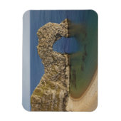 ジュラシックコーストワールド伝統3 マグネット (縦)