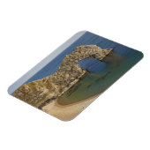 ジュラシックコーストワールド伝統3 マグネット (左側)