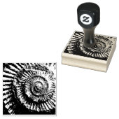 ジュラシック・アンモナイト陰性インプリント ラバースタンプ (押印)