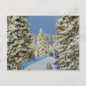 ジュラ山(冬の日没、スイス) ポストカード (正面)