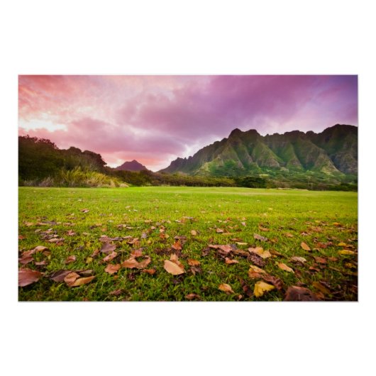 ジュラ紀の夕日 ポスター (正面)