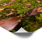 ジュラ紀の夕日 ポスター (コーナー)