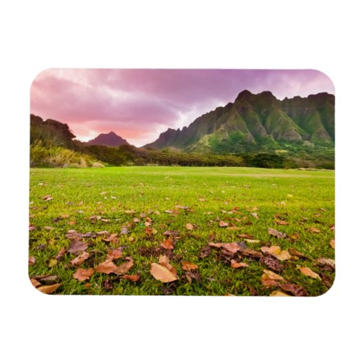 ジュラ紀の夕日 マグネット (横)