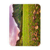 ジュラ紀の夕日 マグネット (縦)