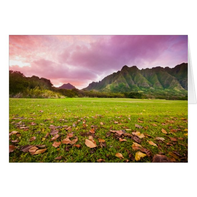 ジュラ紀の日没 (正面横)