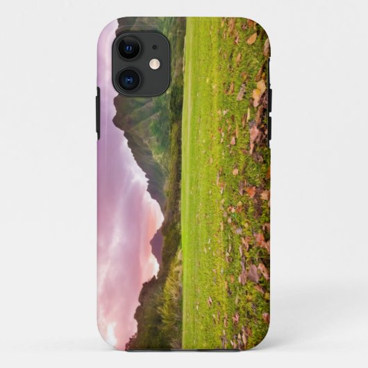 ジュラ紀の日没 Case-Mate iPhoneケース (裏面)
