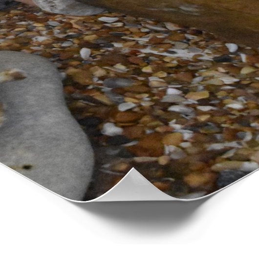 ジュラ紀。 ポスター (角)