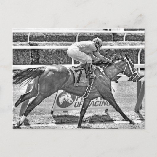 ジュリアを夢見て - 2歳の牝馬チャンピオン ポストカード (正面)