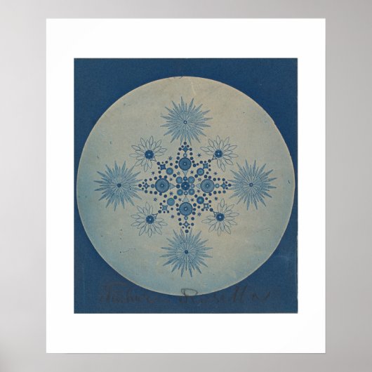 ジュリアス・ウィースナーによる珪藻類の果実 ポスター (正面)