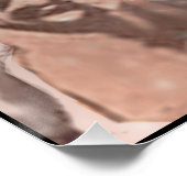 ジュリアス・シーザー ポスター (コーナー)