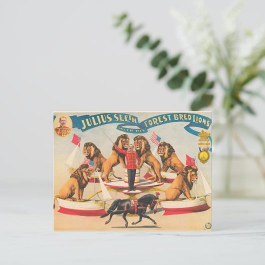 ジュリアス・シーズのサーカスのポスターと彼のライオン ポストカード (スタンド正面)
