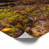 ジュリアプファイファーバーンズのマクウェイ滝州パーク ポスター (角)