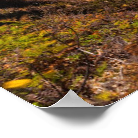 ジュリアプファイファーバーンズのマクウェイ滝州パーク ポスター (角)