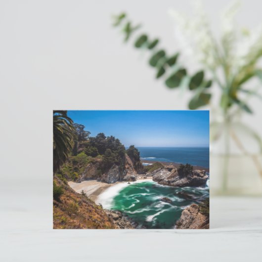 ジュリアプファイファーバーンズのマクウェイ滝州パーク ポストカード (スタンド正面)