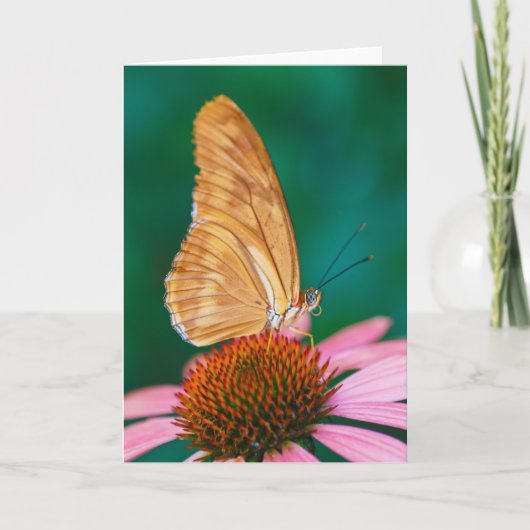 ジュリア カード (正面)