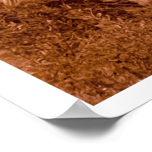 ジュリア – クロウウーマン ポスター (角)