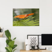 ジュリア・バタフライ・オン・ア・リーフ ポスター (ホームオフィス)