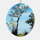 ジュリントン・ダービンの木々がフロリダを守る セラミックオーナメント (左)