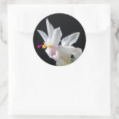 ジュリーのクリスマスサボテン ラウンドシール (バッグ)