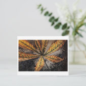 ジュリー・ド・グラグ葉書 ポストカード (スタンド正面)