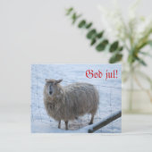 ジュルコート – フォレフェジュン ポストカード (スタンド正面)