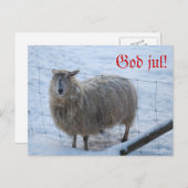 ジュルコート – フォレフェジュン ポストカード (正面/裏面)