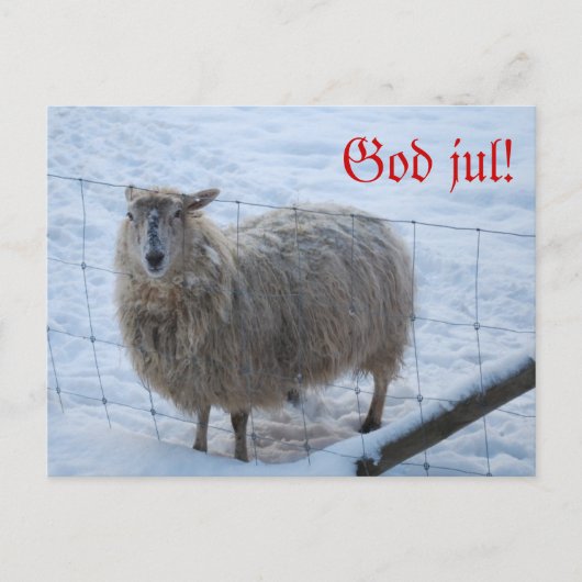 ジュルコート – フォレフェジュン ポストカード (正面)