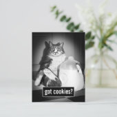 ジューグの牛乳を飲む猫 インビテーションポストカード (スタンド正面)