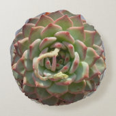 ジューシーで多肉質の枕 ラウンドクッション (裏面)