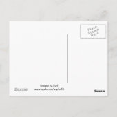 ジューシーなオレンジスライス ポストカード (裏面)