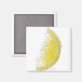 ジューシーな熟しオーガニックたレモンのウェッジフルーツが水没した マグネット (正面/裏面)