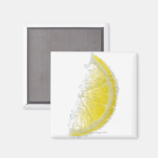 ジューシーな熟しオーガニックたレモンのウェッジフルーツが水没した マグネット (正面/裏面)