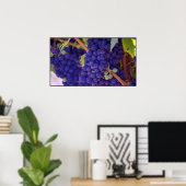 ジューシーな紫色のブドウの大きな束 ポスター (ホームオフィス)