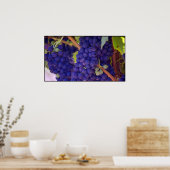 ジューシーな紫色のブドウの大きな束 ポスター (キッチン)