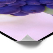 ジューシーな紫色のブドウの大きな束 ポスター (角)