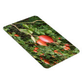 ジューシー赤バラお尻プレミアムマグネット マグネット (右側)