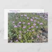 ジューシー6月 ポストカード (正面/裏面)