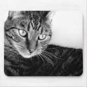 ジュード マウスパッド (正面)