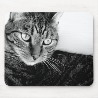 ジュード マウスパッド