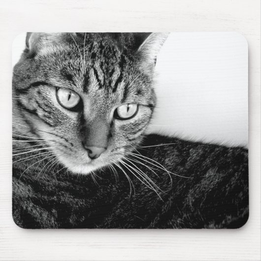 ジュード マウスパッド (正面)