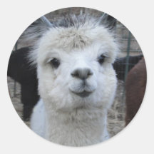 ジュールヴェルヌ