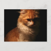 ジュール ポストカード (正面)