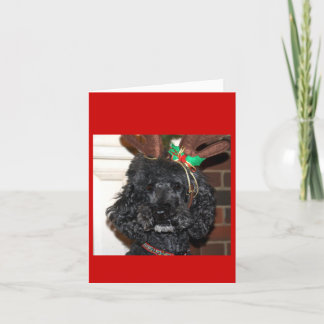 ジュールYule. シーズンカード