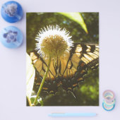 ジューン（昆虫）オオカバマダラ、モナークフライヤー チラシ (シングル)