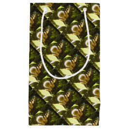 ジューン（昆虫）オオカバマダラ、モナークフラワー抱き枕 スモールペーパーバッグ